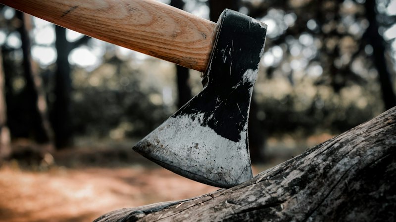 Heber Hatchets Axe Throwing
