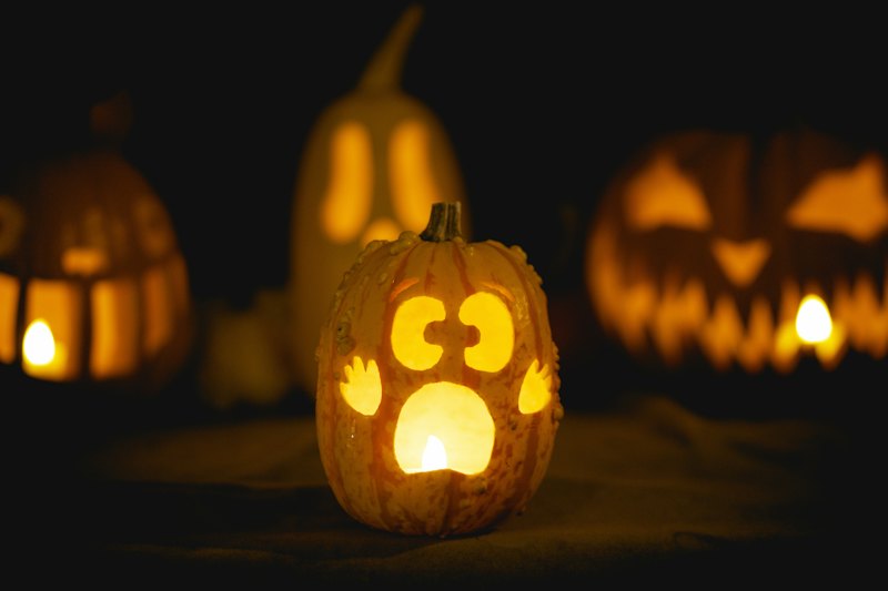 Pumpkin Patch