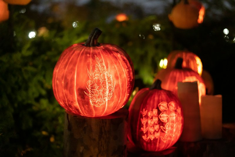 Pumpkin Plunge: Halloween Diving Competition