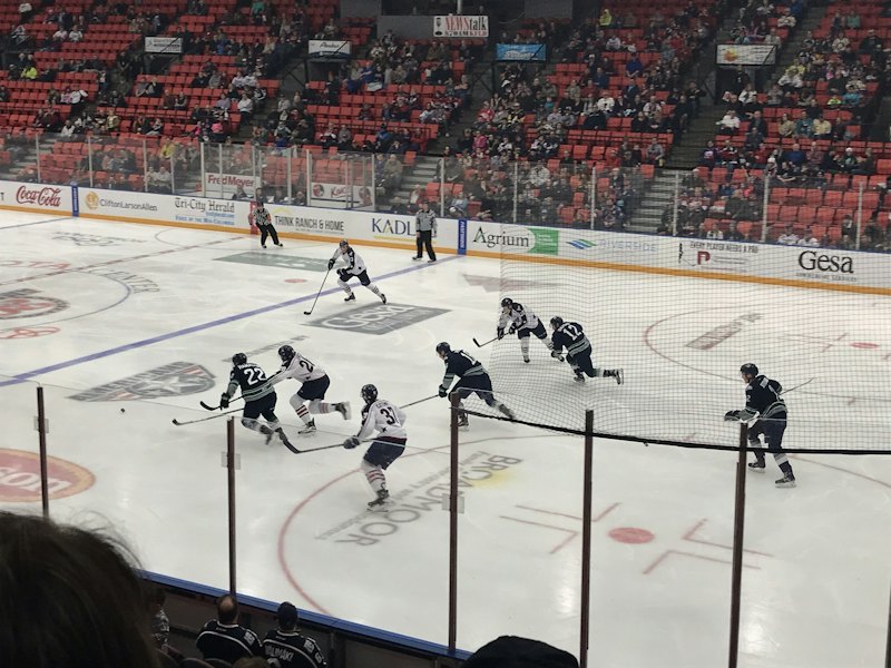 Learn to Skate Program - Figure Skating and Hockey (Fall II Session)