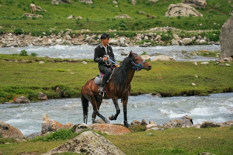 Oak Haven Performance Horses