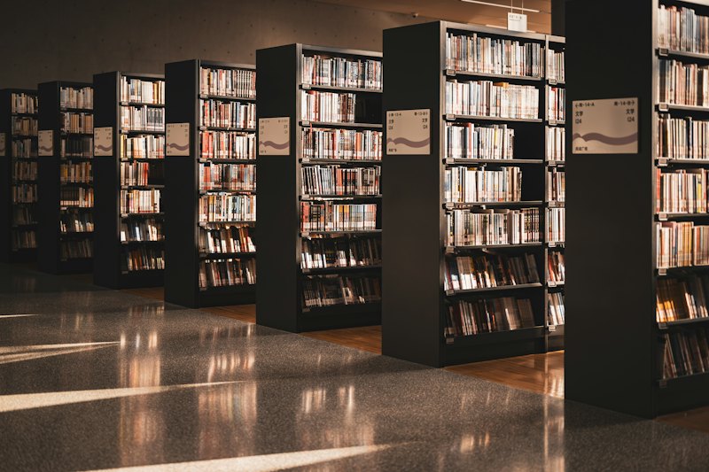 Monroe City Library