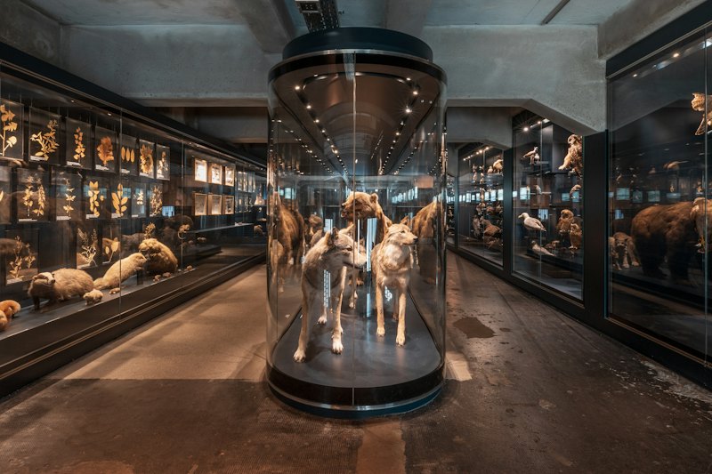 1776 Museum