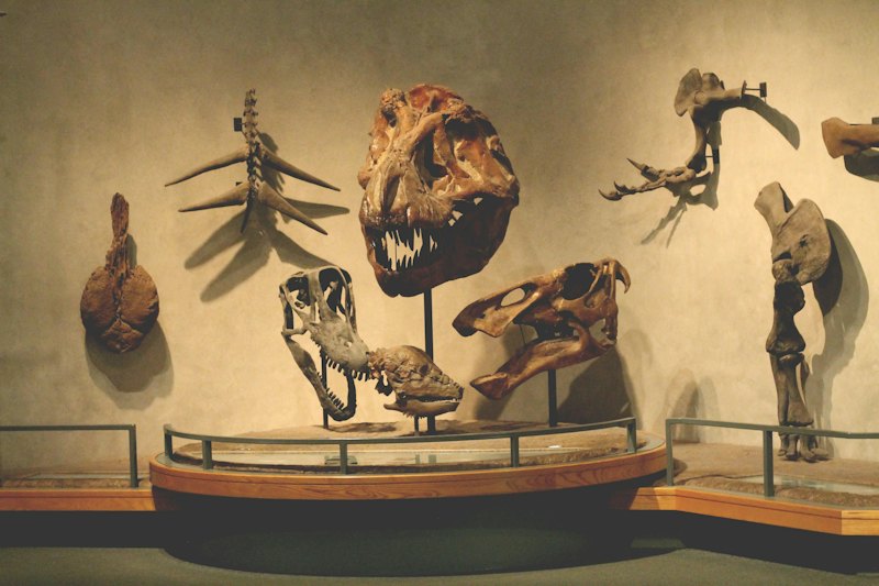 Donner-Reed Museum