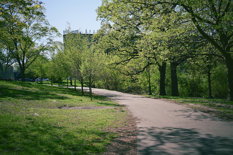 Naples Community Park