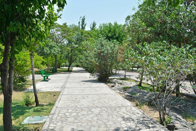 Wilkinson Complex