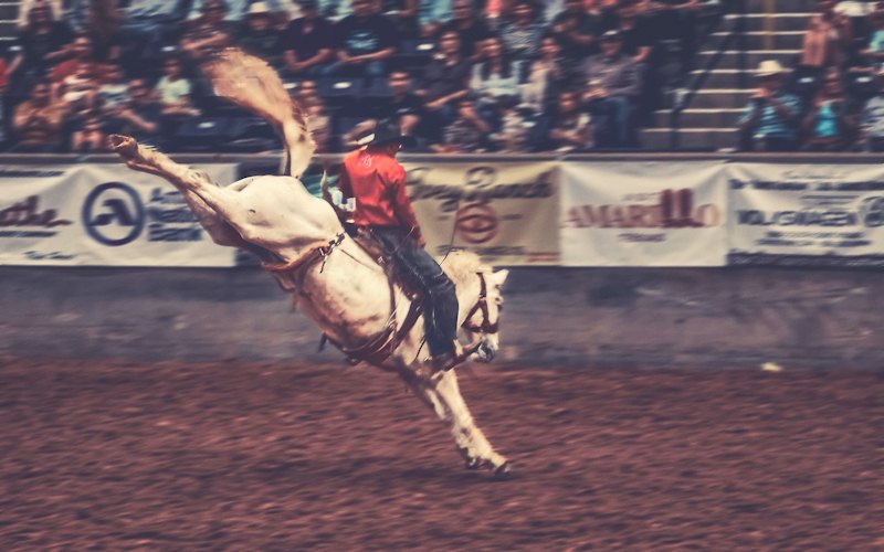 Wilderness Circuit Finals Rodeo Friday Nov. 6th at 7:30 pm