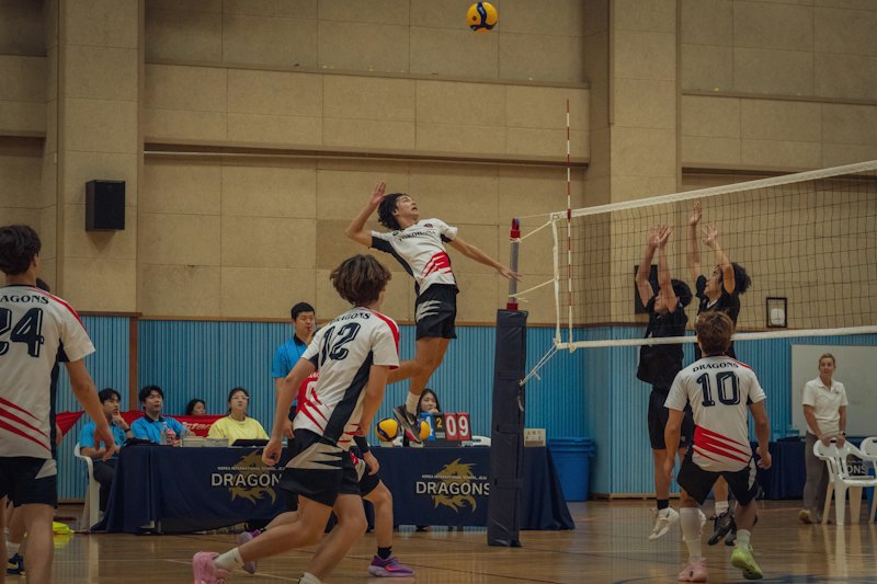 UC San Diego Tritons at Utah Valley Wolverines Womens Volleyball
