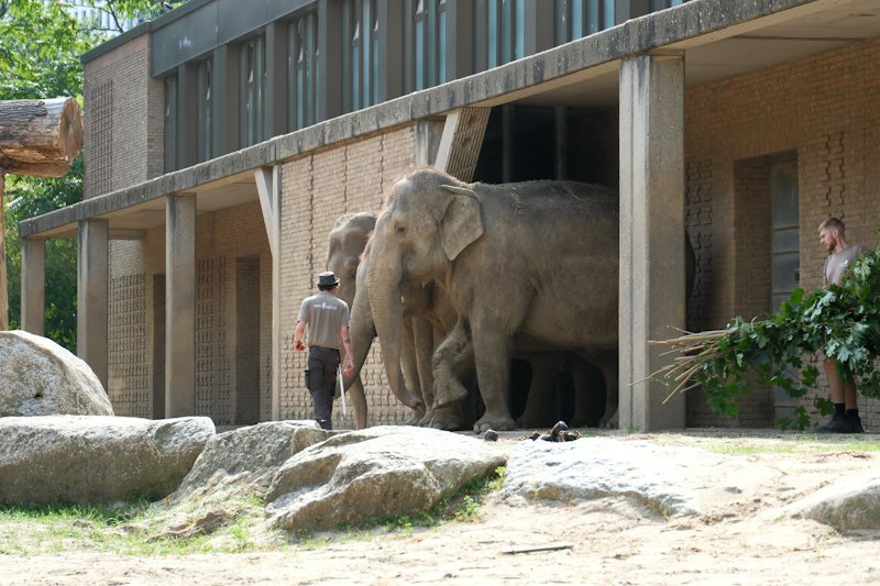Layton Aquarium & Wildlife