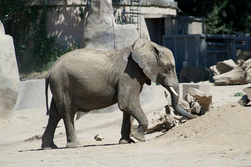 Provo Zoo